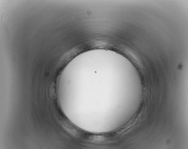 X0000095130361200712071014