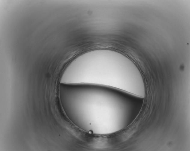 X0000095130362200712071014