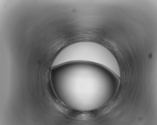 X0000095130364200712071014