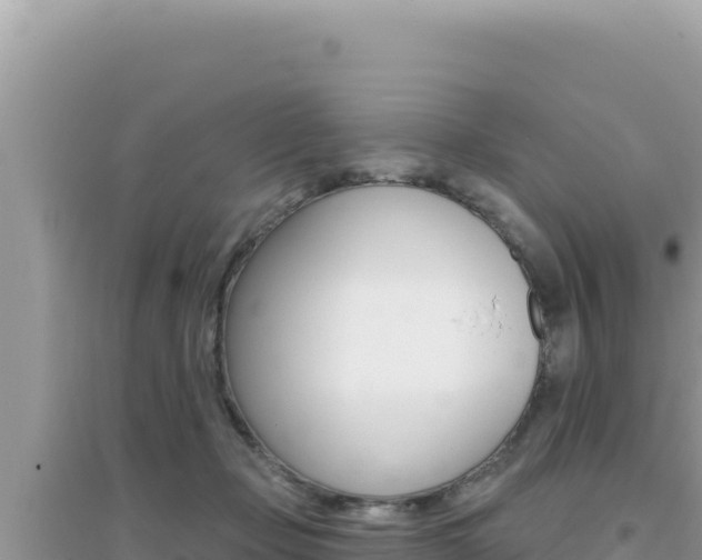 X0000095130365200712071014