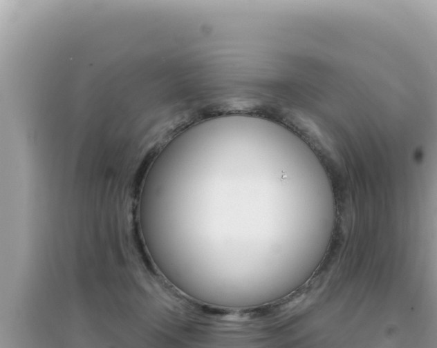 X0000095130366200712071014