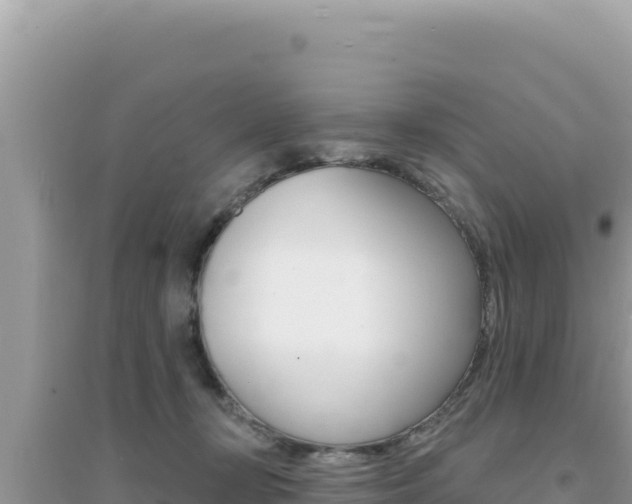 X0000095130367200712071014