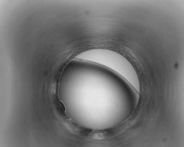 X0000095130368200712071014