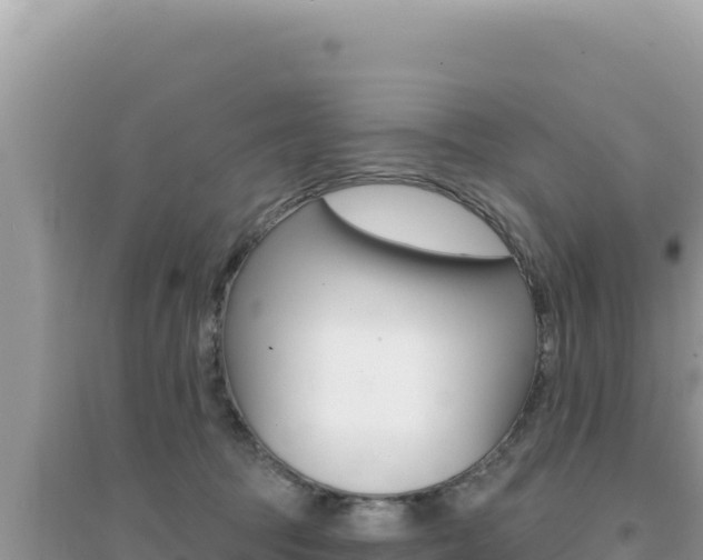 X0000095130369200712071014
