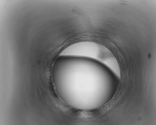 X0000095130372200712071014