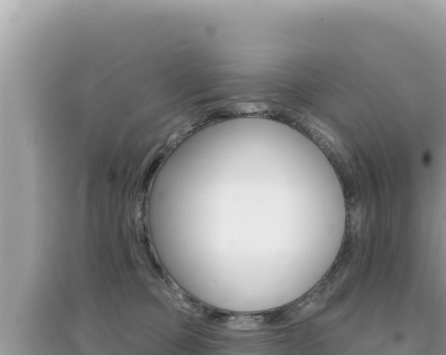 X0000095130373200712071014