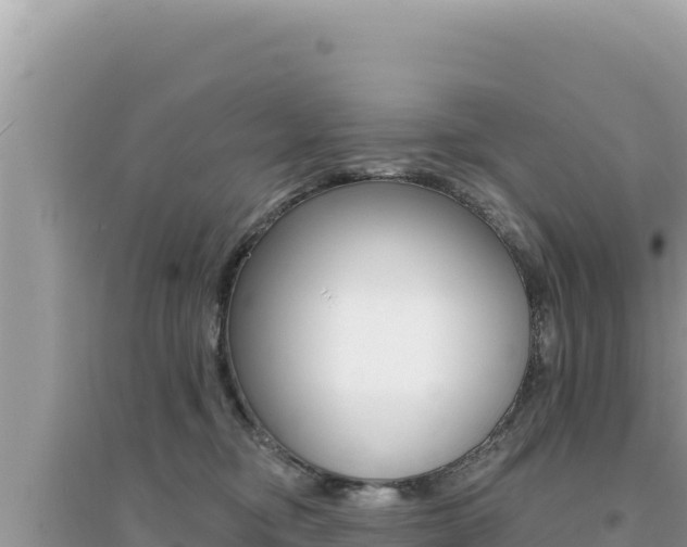 X0000095130374200712071014