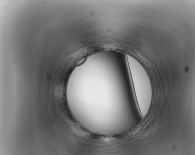 X0000095130379200712071014