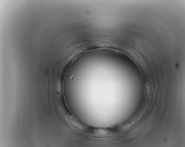 X0000095130380200712071014