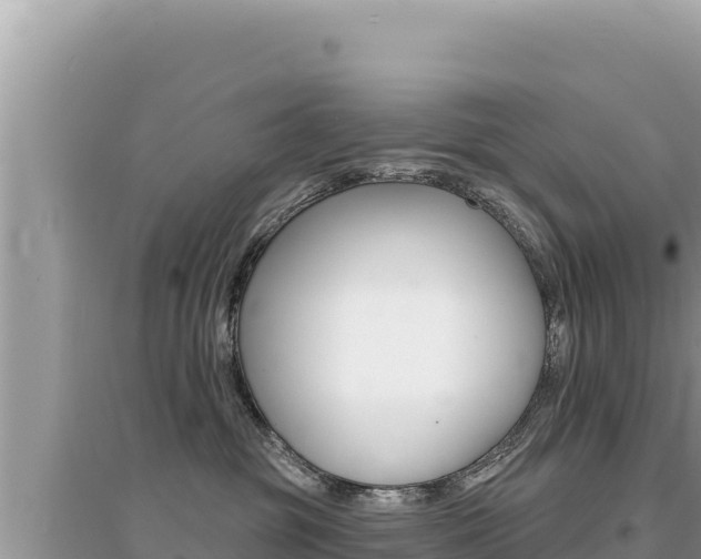 X0000095130381200712071014