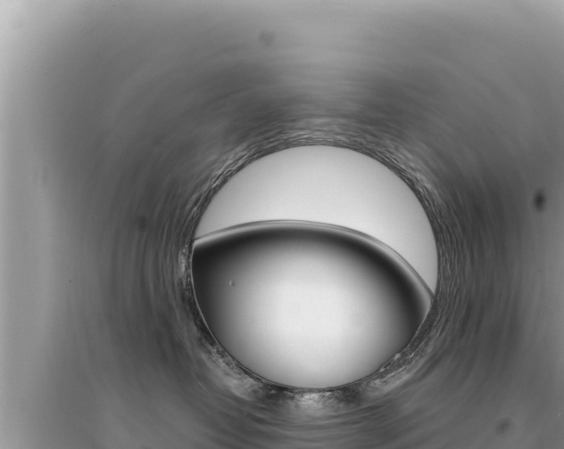 X0000095130382200712071014