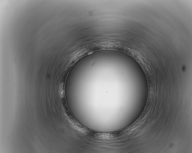 X0000095130383200712071014