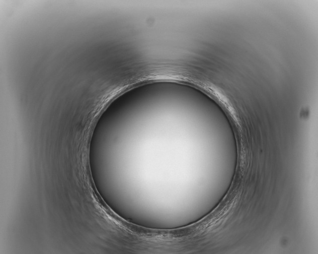 X0000095130385200712071013