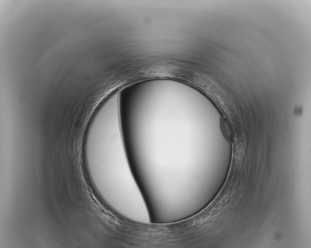 X0000095130386200712071013