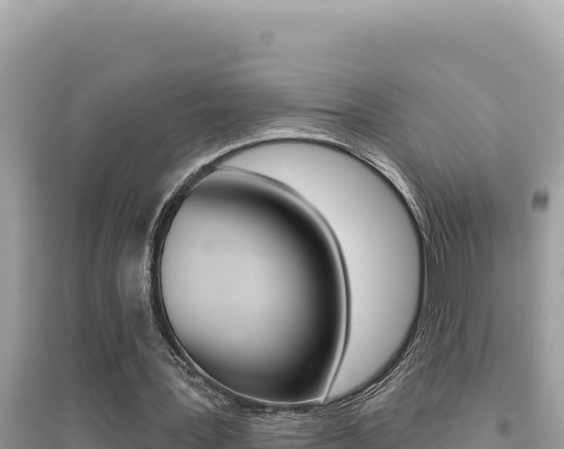 X0000095130387200712071013