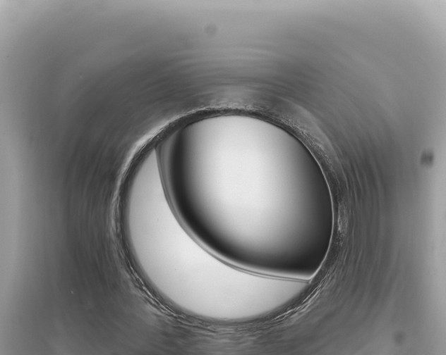 X0000095130388200712071013