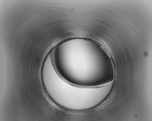 X0000095130389200712071013