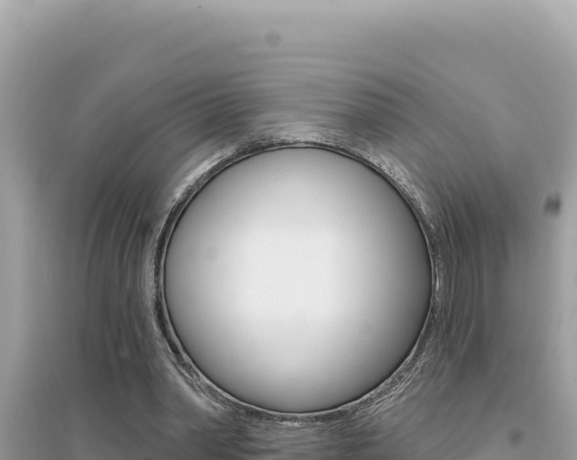 X0000095130390200712071013