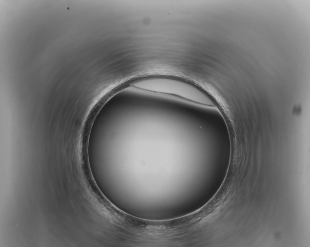 X0000095130391200712071013