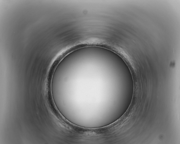 X0000095130392200712071013