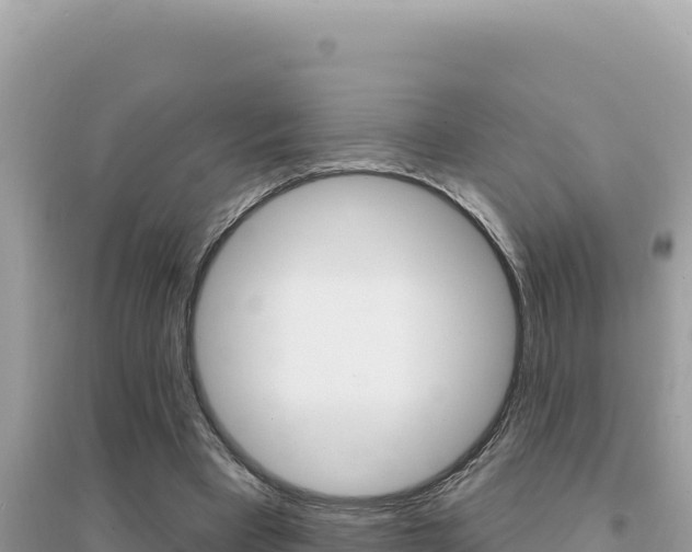 X0000095130393200712071013