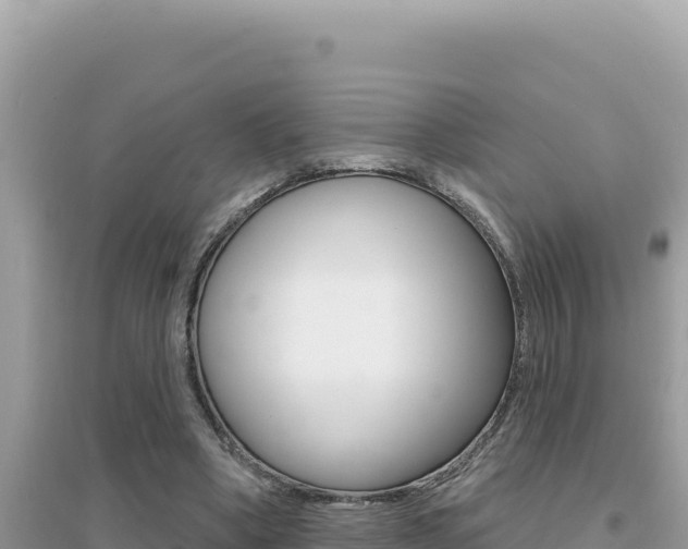 X0000095130394200712071013
