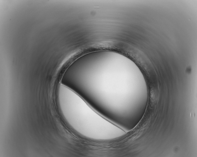 X0000095130396200712071013