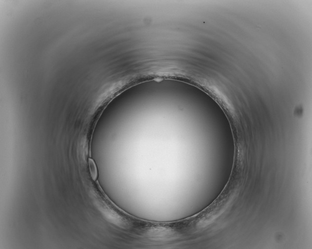 X0000095130397200712071013