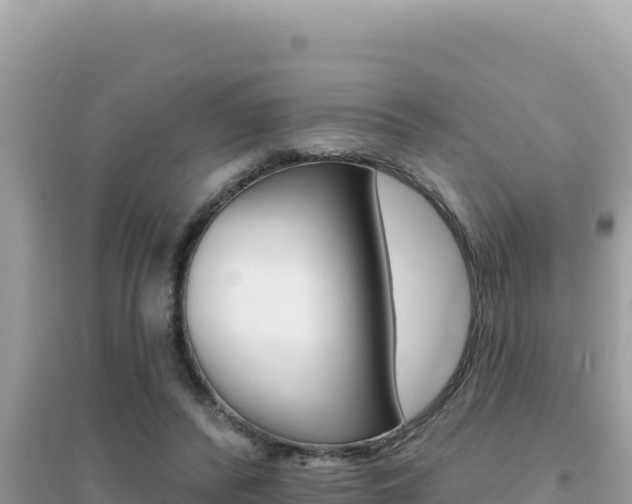 X0000095130400200712071013