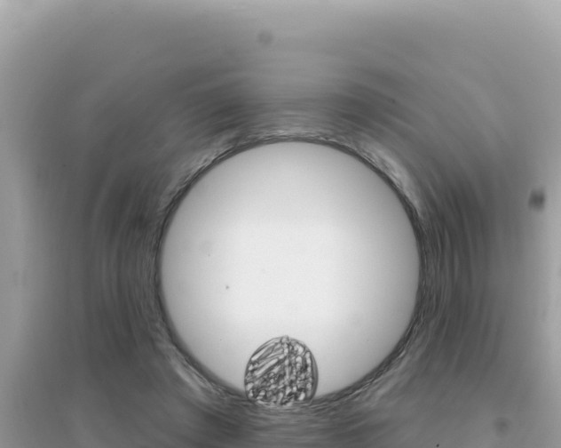 X0000095130401200712071013