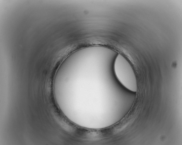 X0000095130402200712071013