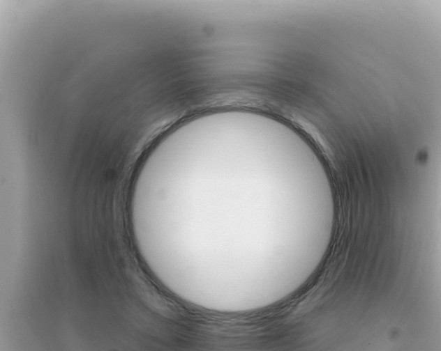 X0000095130403200712071013