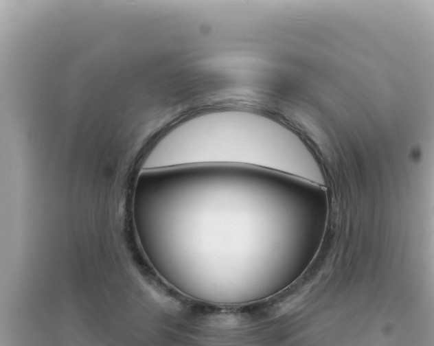 X0000095130404200712071013