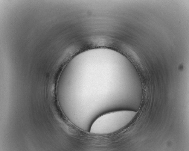 X0000095130406200712071013