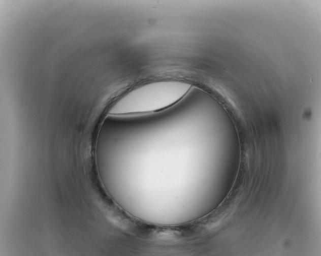 X0000095130407200712071013