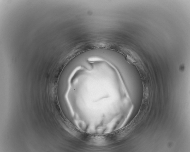 X0000095130409200712071013