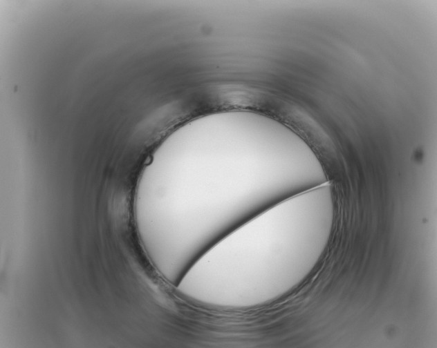 X0000095130410200712071013