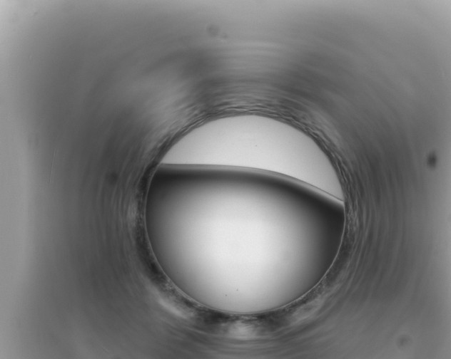 X0000095130412200712071013