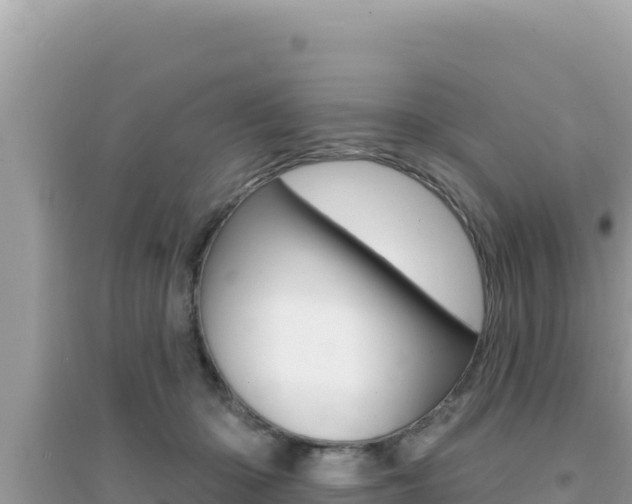 X0000095130414200712071012