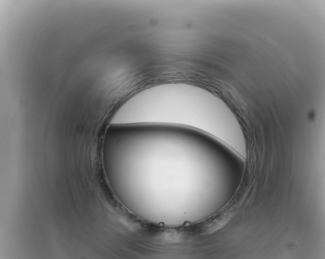 X0000095130416200712071012