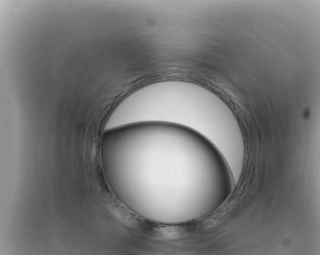 X0000095130417200712071012