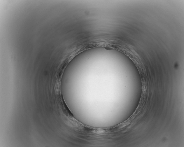 X0000095130419200712071012