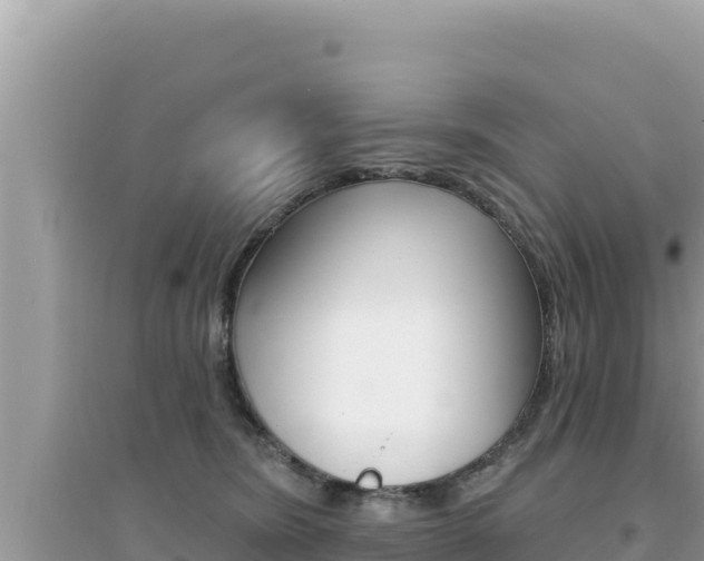 X0000095130420200712071012