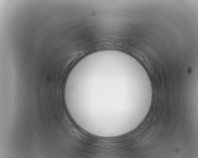 X0000095130423200712071012