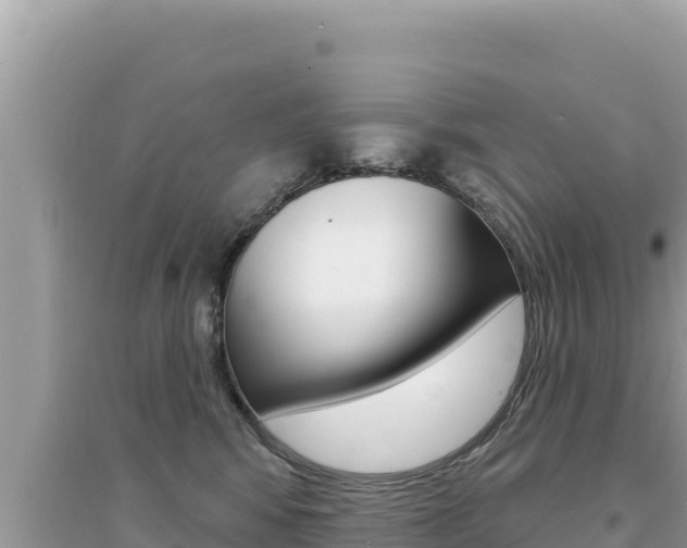 X0000095130424200712071012
