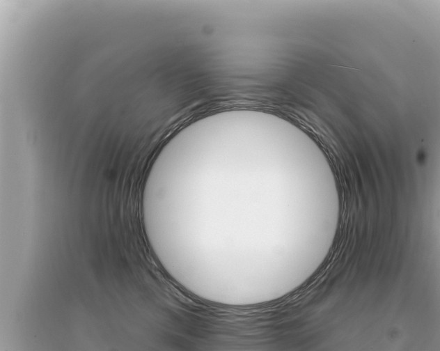 X0000095130425200712071012