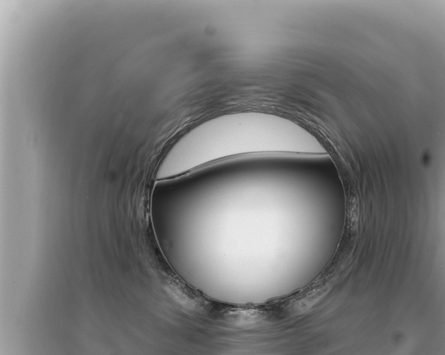 X0000095130428200712071012