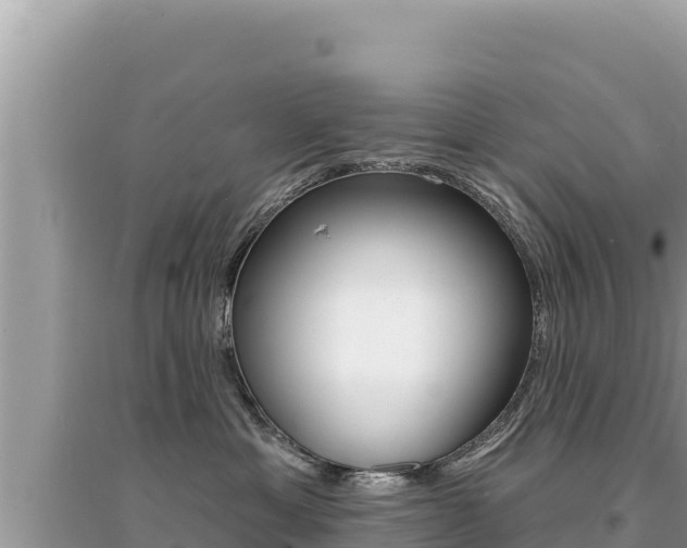 X0000095130429200712071012