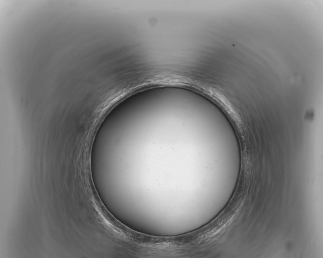 X0000095130433200712071012
