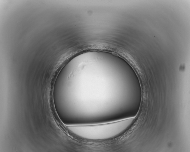 X0000095130434200712071012